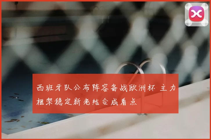 西班牙队公布阵容备战欧洲杯 主力框架稳定新老结合成看点