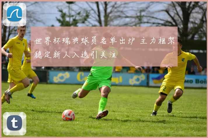 世界杯瑞典球员名单出炉 主力框架稳定新人入选引关注