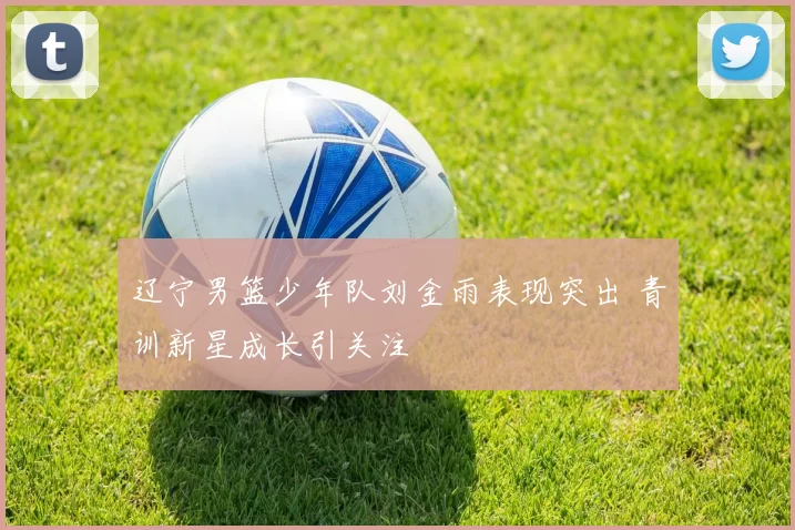 辽宁男篮少年队刘金雨表现突出 青训新星成长引关注